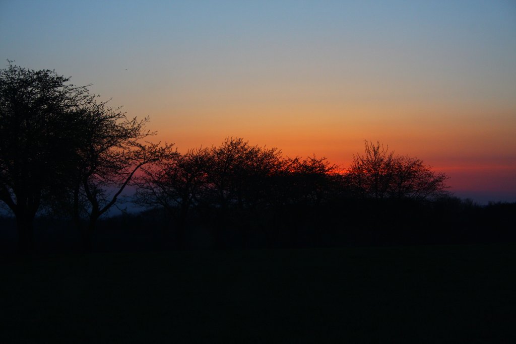 Sonnenuntergang 18.04.2010 019.jpg